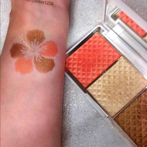 Brand new! Bronze and brighten cheek palate